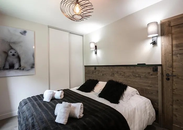 Bel Moderne Avec Sauna Et Parking A - Fr-1-343-246 Apartment Chamonix