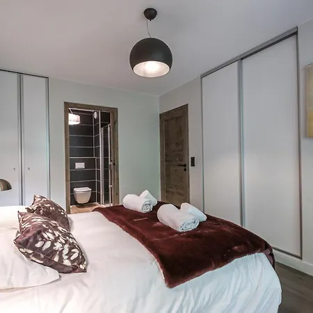 Bel Moderne Avec Sauna Et Parking A - Fr-1-343-246 Apartman