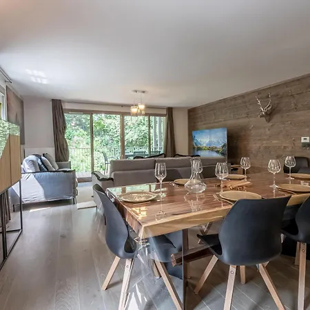 Bel Moderne Avec Sauna Et Parking A - Fr-1-343-246 Apartment Chamonix