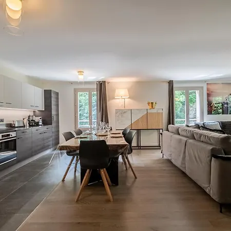 Bel Moderne Avec Sauna Et Parking A - Fr-1-343-246 Chamonix