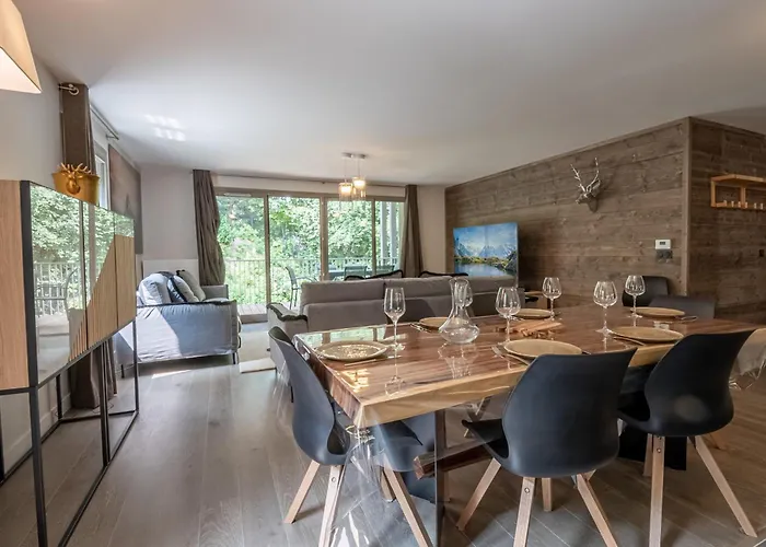 Bel Moderne Avec Sauna Et Parking A - Fr-1-343-246 Apartment Chamonix