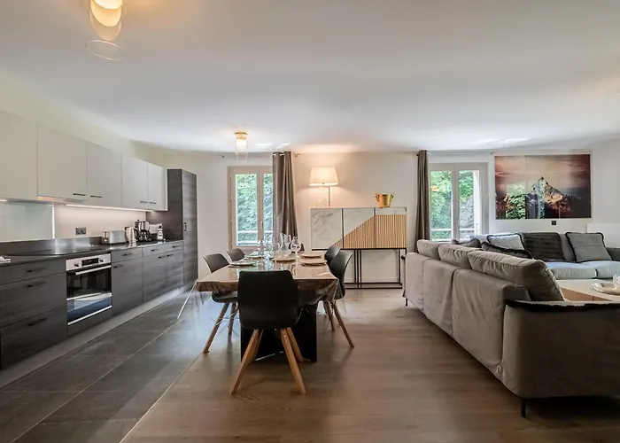 Bel Moderne Avec Sauna Et Parking A - Fr-1-343-246 Chamonix Mont Blanc